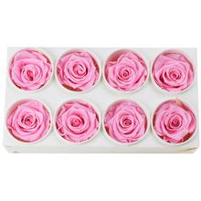 Ruža preparovaná 5cm BRIDAL PINK /ks - FLORASYSTEM