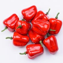 MALÁ PAPRIKA S/10 4cm - FLORASYSTEM