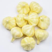 MALÝ CESNAK S/10 4cm - FLORASYSTEM