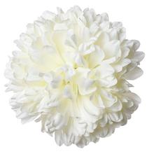 HLAVA CHRYZANTÉMA BIELA PRIEM:20CM BAL:6KS - FLORASYSTEM