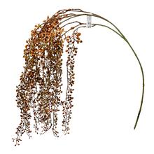 KS LÍSTKY HNEDÁ 120CM - FLORASYSTEM