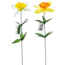 KS NARCIS MIX 2F 45CM - FLORASYSTEM