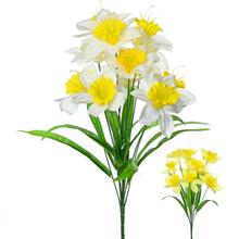 KYTICA NARCIS MIX 2F 48CM - FLORASYSTEM