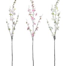 KONÁR ČEREŠŇA  MIX 3F - FLORASYSTEM
