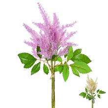 KYTICA ASTILBE 72CM - FLORASYSTEM