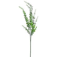 KONÁR EUCALYPTUS 71CM - FLORASYSTEM