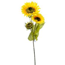 KS SLNEČNICA 90CM - FLORASYSTEM