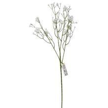 KS GYPSA BIELA 61CM - FLORASYSTEM