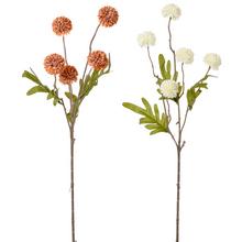 KS ASTRA 52CM MIX 2FA - FLORASYSTEM