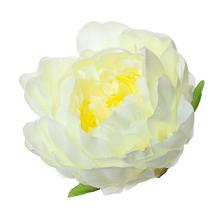 Umelá pivonka biela s priemerom 10 cm.