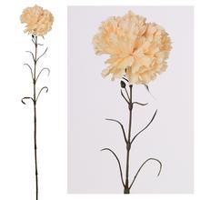 KS KARAFIÁT 66CM .LOSOS - FLORASYSTEM