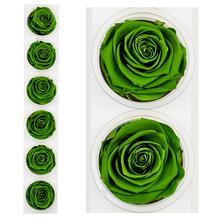 Ruža preparovaná v emerald zelenej farbe s priemerom 6,5 cm.