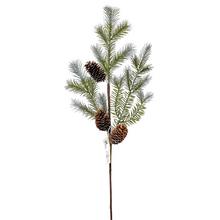 KONÁR ČEČINA ŠIŠKY   62CM - FLORASYSTEM