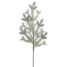 KONÁR ČEČINA ŠIŠKY OSNEŽ.   74CM - FLORASYSTEM