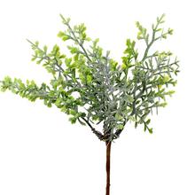 ZÁPICH ZELEŇ 21CM - FLORASYSTEM
