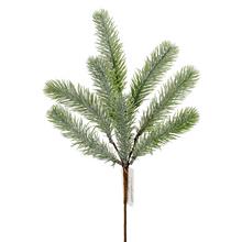 KONÁR ČEČINA 40CM - FLORASYSTEM