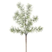KONÁR ČEČINA 45CM - FLORASYSTEM