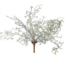 VETVIČKA ZÁPICH ZELENÁ 49CM - FLORASYSTEM