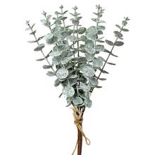 ZÁPICH ZVAZOK EUCALYPTUS GLIT.33CM - FLORASYSTEM
