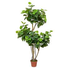 Umelý strom hibiscus s bohatými zelenými listami.