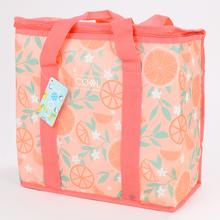 CHLADIACA TAŠKA 16LTR 2ASS CLR FB1300950 34x16x36cm - FLORASYSTEM