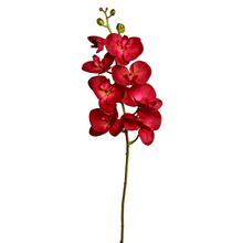 KS ORCHIDEA 102CM ČERVENÁ - FLORASYSTEM