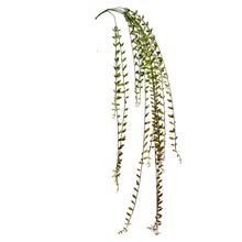 Umelá ťahačka Senecio zelené 120 cm