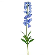 KS CAMPANULA MODRÁ 94CM - FLORASYSTEM