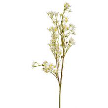 KONÁR BIELY 101CM - FLORASYSTEM