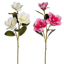 KS MAGNÓLIA 2F 80CM - FLORASYSTEM