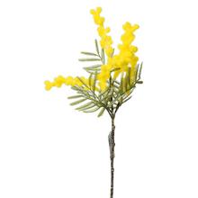 Umelé kvety acacia žltá 36 cm