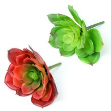 Umelá sukulent Echeveria v červenej a zelenej farbe.