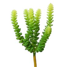 Umelý sukulent Sedum Burrito s dĺžkou 25 cm.