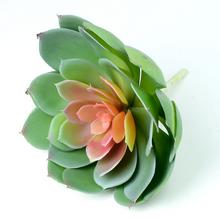 Umelý sukulent Echeveria s rozmermi 19 cm na výšku a 20 cm na šírku.