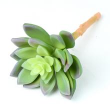 SUCULENT ECHEVERIA V:14CM P:9CM - FLORASYSTEM