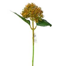 KS HORTENZIA ORANŽOVÁ 39CM - FLORASYSTEM