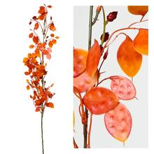 KS LUNARIA ORANŽOVÁ 95CM - FLORASYSTEM