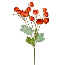 Konár Physalis 58 cm s oranžovými kvetmi a zelenými listami.