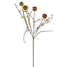 KONÁR BODLIAK HNEDÝ 59CM - FLORASYSTEM