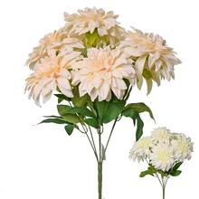 KYTICA DAHLIA 2F 50cm - FLORASYSTEM