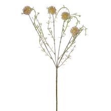 KONÁR BODLIAK KRÉMOVÝ 59CM - FLORASYSTEM