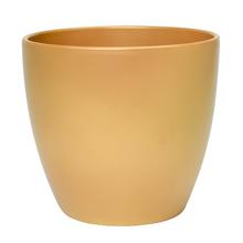AKCIA 31335 OBAL GOLD 920/19 - FLORASYSTEM