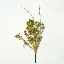KONÁR ZLATÝ 40CM - FLORASYSTEM