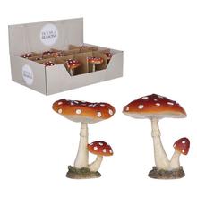 MUCHOTRÁVKA 2ASS l6xw6xh8cm - FLORASYSTEM