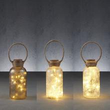 AKCIA!! FĽAŠA MRAZENÁ 20LED 10XV20CM - FLORASYSTEM