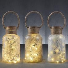 AKCIA!! Fľaša 30 led 3 rozmanitá  batéria PDQ 36 kusov - h3 - FLORASYSTEM