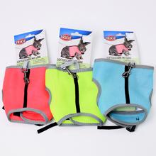 Postroj VESTA s vodítkom pre zakrslého králika v rôznych farbách.