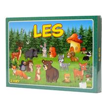 Hra LES stredný s obrázkami zvierat v lese.