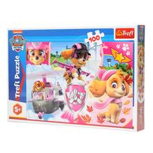 Puzzle 100PAW PATROL - SKYE - FLORASYSTEM