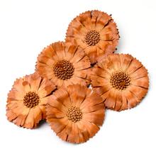 SUPER CUT 6/7 JASNA LUZ S/5 R059SLPACZ-5  - FLORASYSTEM